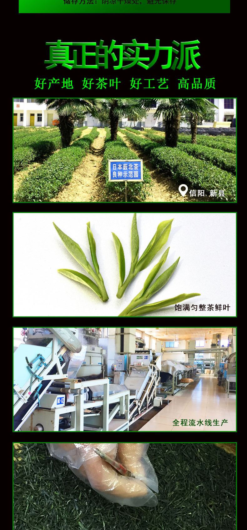 【河南邮政】安太 2021新茶 新县  新林玉露 150g蒸青茶