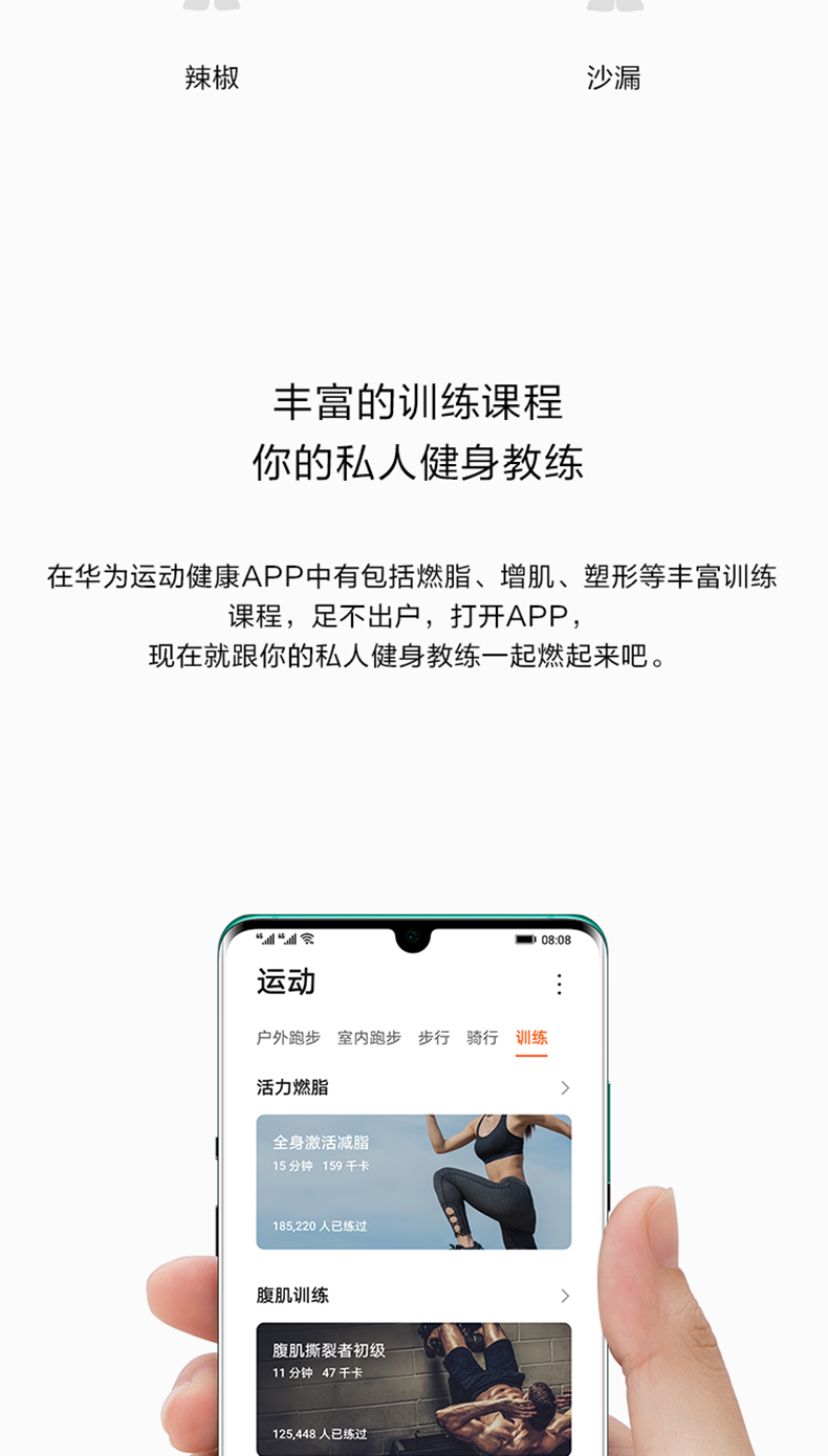 华为/HUAWEI 华为智能体脂称2 Pro