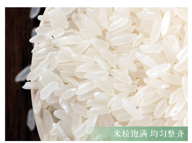 【河南邮政】诺敏河醇香苗稻香米10KG/20斤长粒香大米东北大米