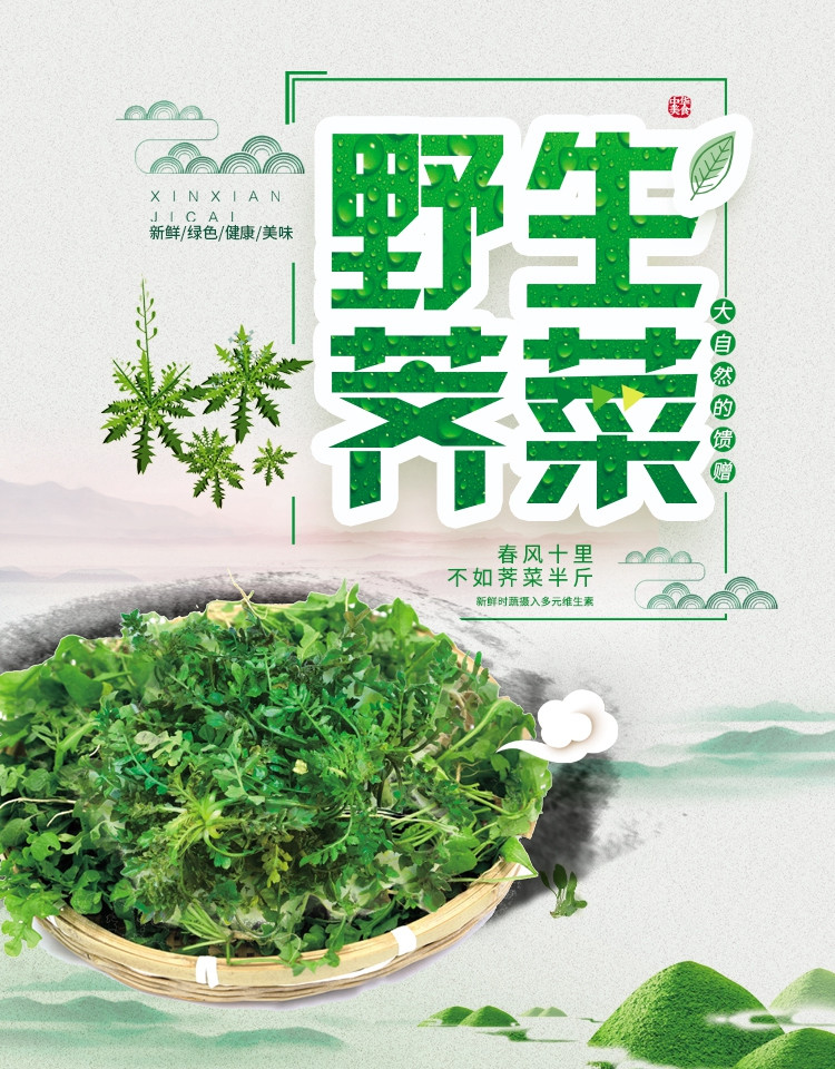 新鲜地菜野生荠菜混沌饺子春卷包子荠菜馅3斤