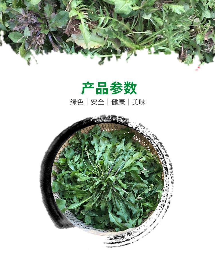 新鲜地菜野生荠菜混沌饺子春卷包子荠菜馅1斤