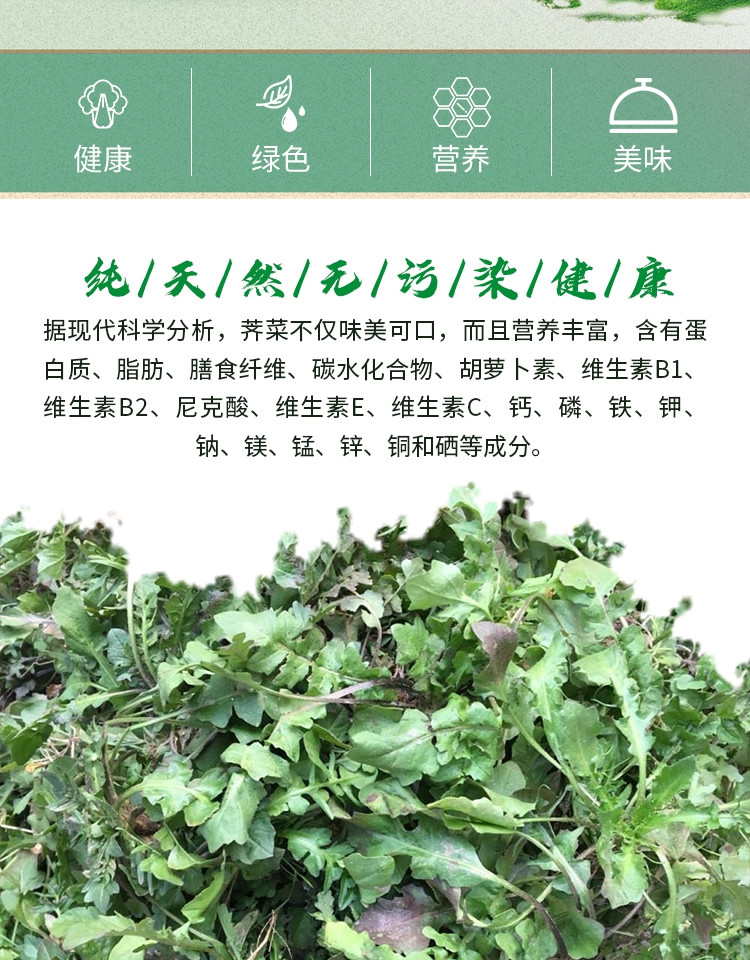 新鲜地菜野生荠菜混沌饺子春卷包子荠菜馅1斤