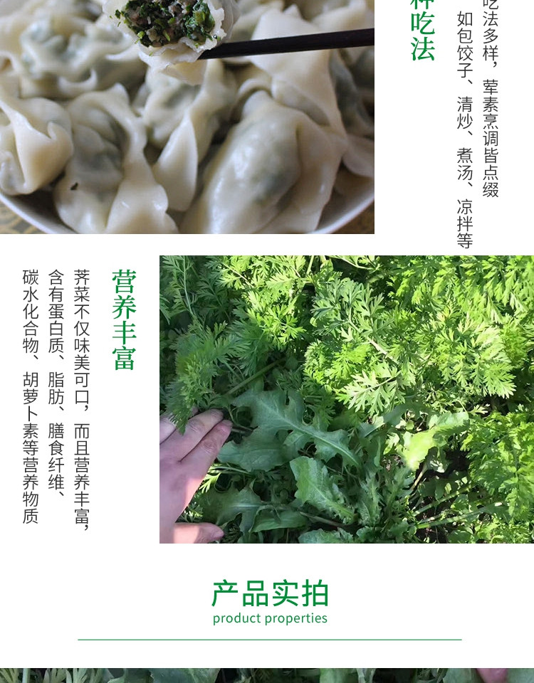 新鲜地菜野生荠菜混沌饺子春卷包子荠菜馅3斤