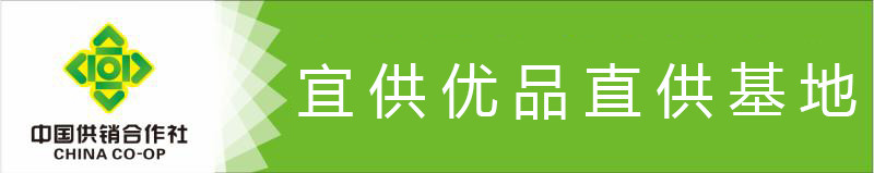 【会员价】【邮政助农】宜供优品宜供 柠檬片泡茶 VC干片即食袋装泡水柠檬片100g