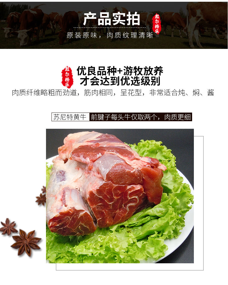 锡尔沁内蒙古锡盟原切整块牛腱子牛腩牛腿肉冷冻新黄牛肉批发包邮