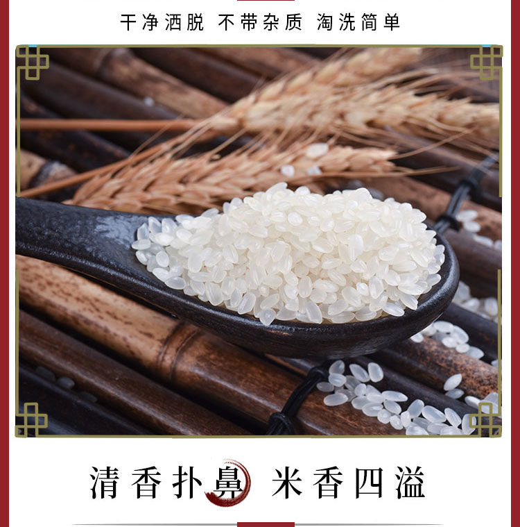 大米东北大米20斤60斤10斤珍珠米稻花香2019年新米厂家直发