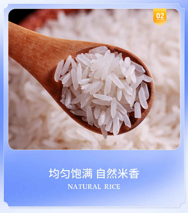 品冠膳食泰国原粮进口茉莉香米2019年大米新米长粒香米大米5斤