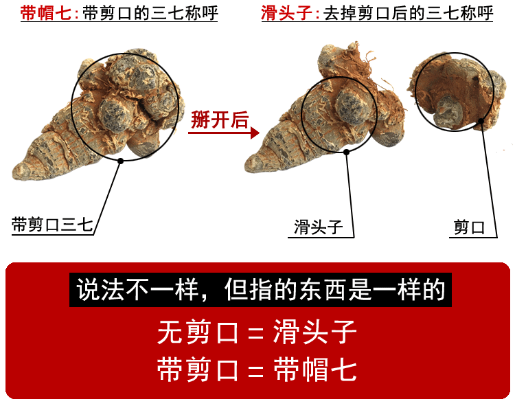 三七头云南文山特级野生正品无剪口500g春田七20头30头可磨超细粉