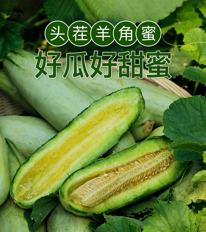 【领劵立减10元】羊角蜜 甜瓜 新鲜水果 羊角脆甜瓜 香瓜 多规格可选