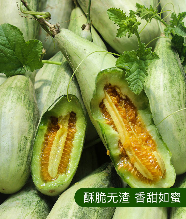 【领劵立减10元】羊角蜜 甜瓜 新鲜水果 羊角脆甜瓜 香瓜 多规格可选