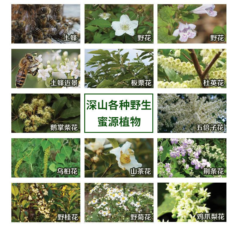 农家蜂蜜自产 野生纯天然深山百花蜜 农家土蜂蜜原蜜 自然成熟封盖土蜂蜜 多种规格可选