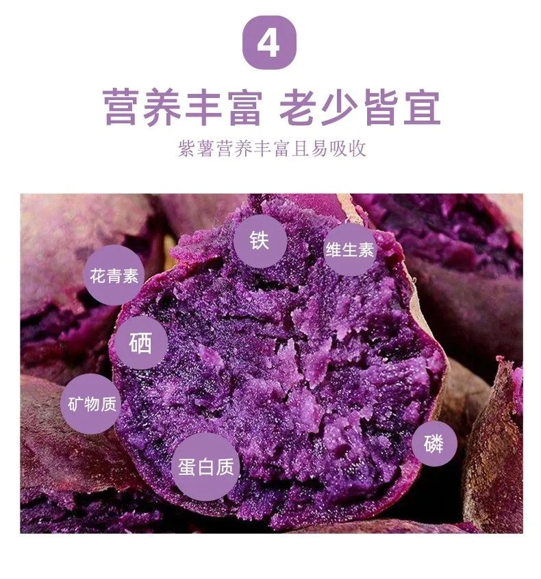 紫薯 新鲜蜜甜薯 山东农家板栗香红沙土地瓜糖心蔬菜山芋小番薯