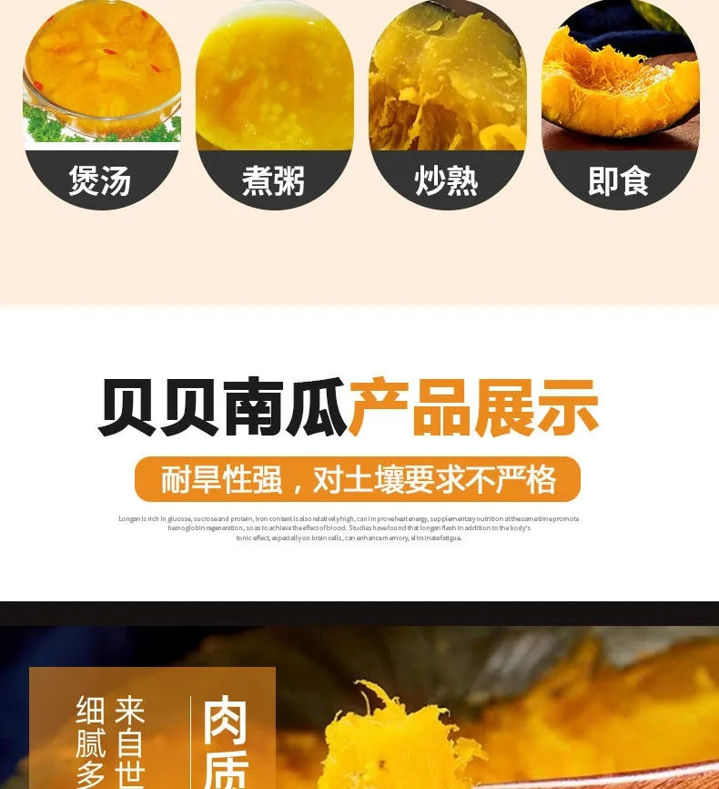 粉糯贝贝南瓜  板栗味小南瓜 香甜粉糯贝贝南瓜 孕妇宝宝辅食蔬菜 栗面迷你小南瓜多规格可选