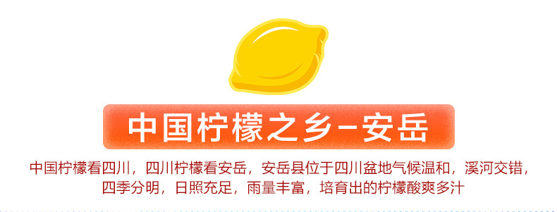 新鲜柠檬 新鲜水果  安岳黄柠檬   多规格可选