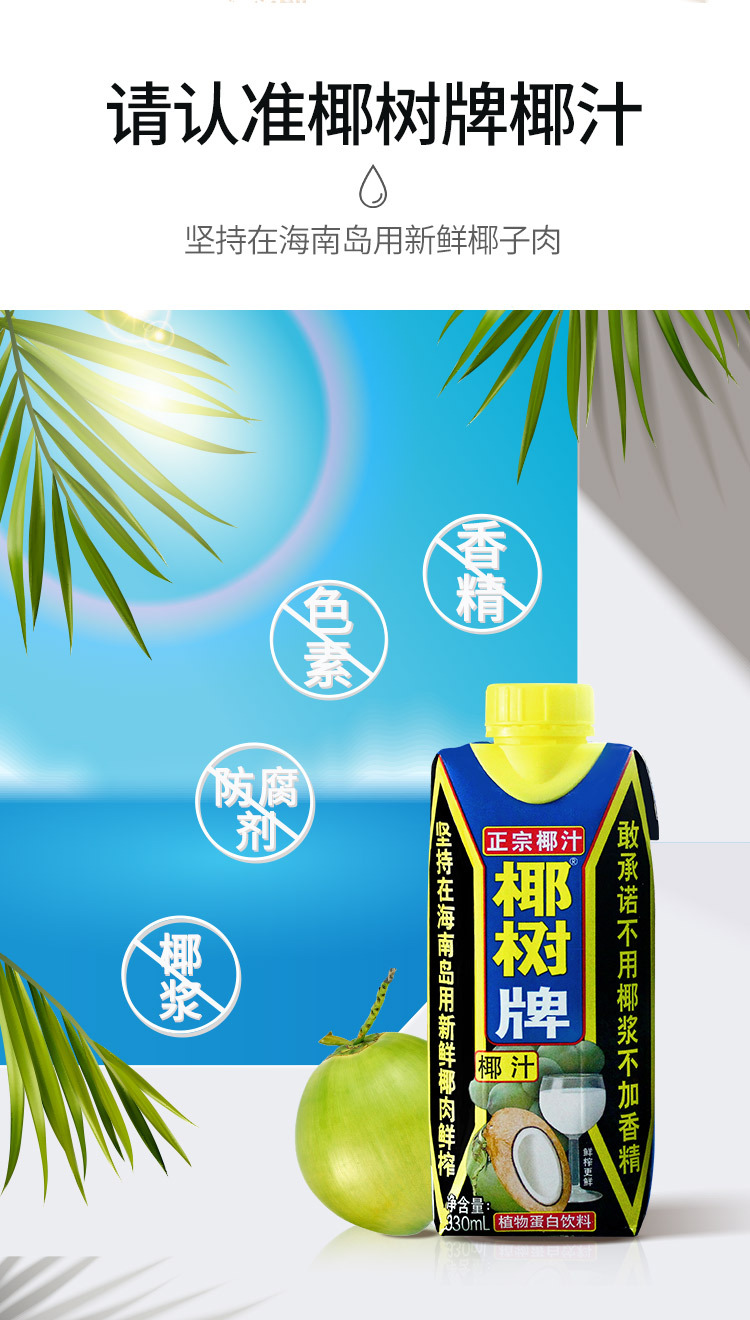 海南特产 椰树牌椰子汁植物蛋白饮料椰汁婚宴椰奶饮品 330ml*24利乐钻