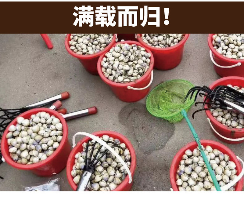 蛤蜊耙子沙滩挖蛤贝壳海鲜蛏子蚬子螺神器赶海工具海蛎子钩