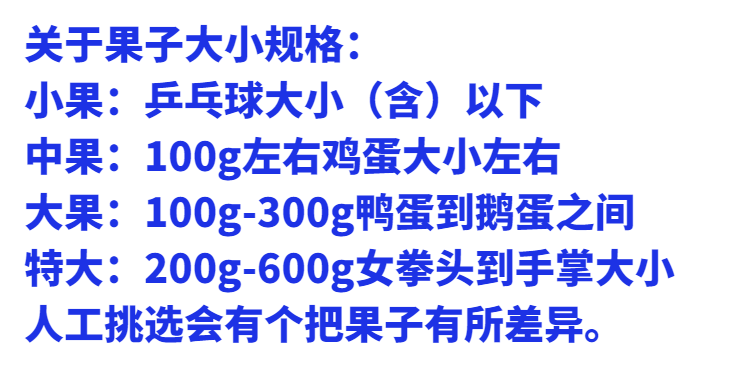 2021年云南高原新鲜现挖红皮黄心土豆5斤10斤洋芋马铃薯老品种