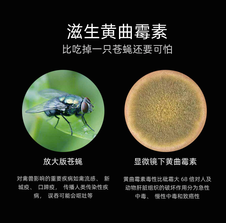 蒙福 304不锈钢双面切菜板砧板案板防霉分类塑料水果辅食大号抗菌粘刀占钻枮沾切面菜墩子厨房