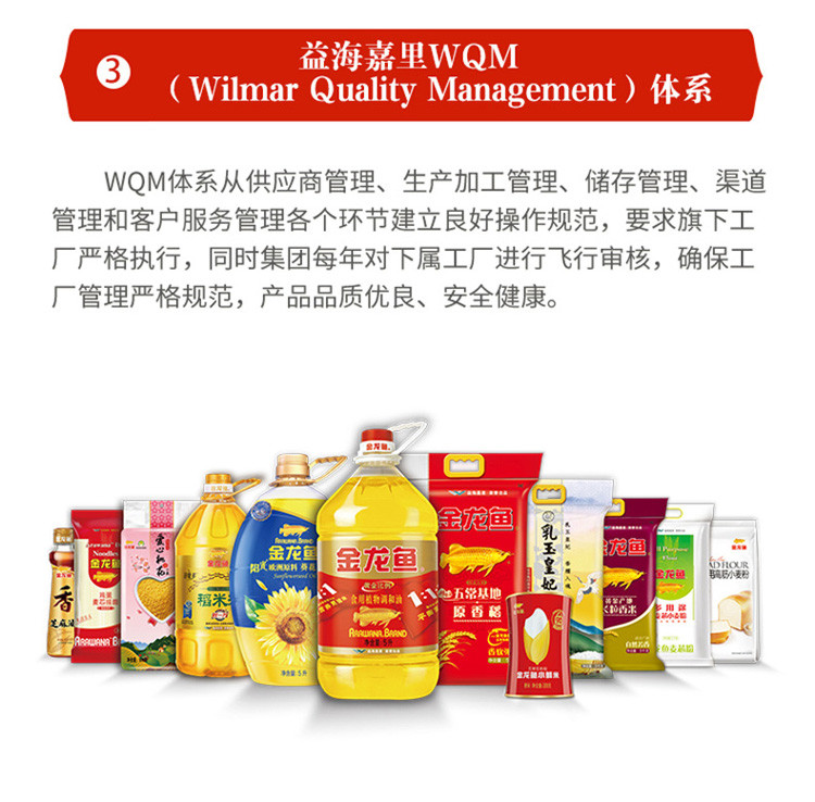 金龙鱼精炼一级大豆油 900ML*2小瓶色拉油烘焙烧烤厨房凉拌食用油