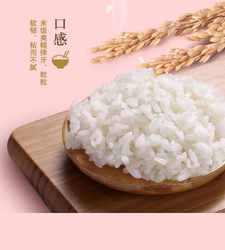 金龙鱼黄金产地长粒香米2.5Kg粳米东北大米蒸煮米饭粥自然芳香5斤