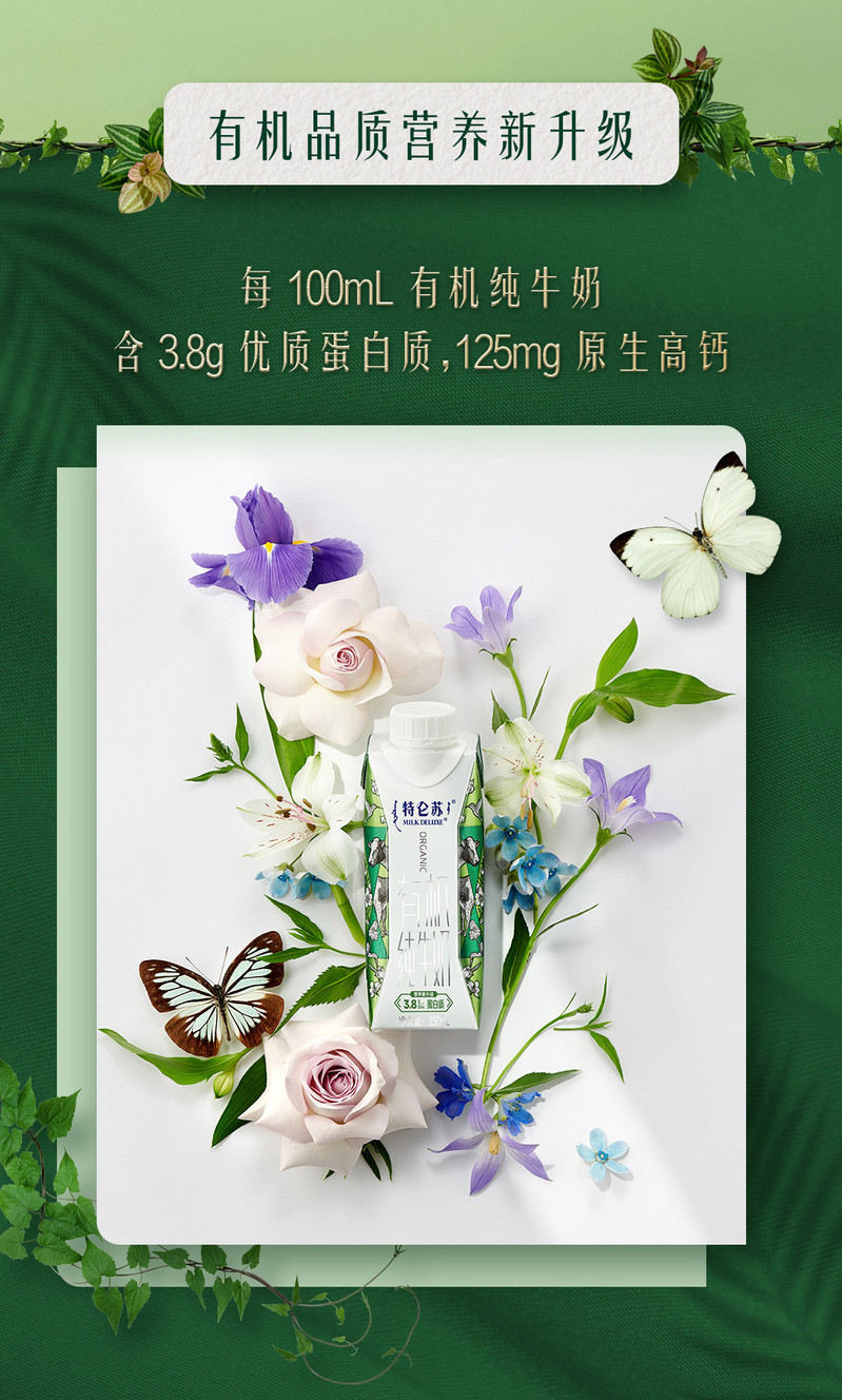 蒙牛 特仑苏 有机纯牛奶梦幻盖 250ml×10 礼盒装