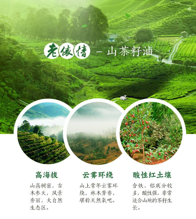 寻味江西 老俵情.纯正山茶油2L一箱（配礼袋）