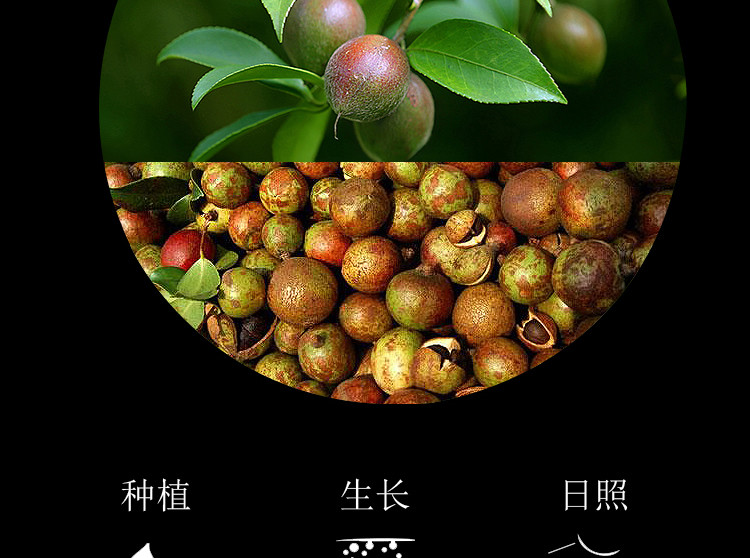 【领劵立减20元】2L冷榨山茶油初榨一级食用油月子油植物油茶树油纯正茶油