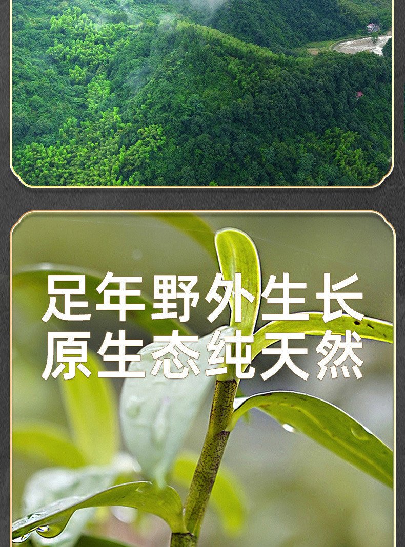 六茗堂 正宗霍山枫斗5年生铁皮石斛60g礼盒装