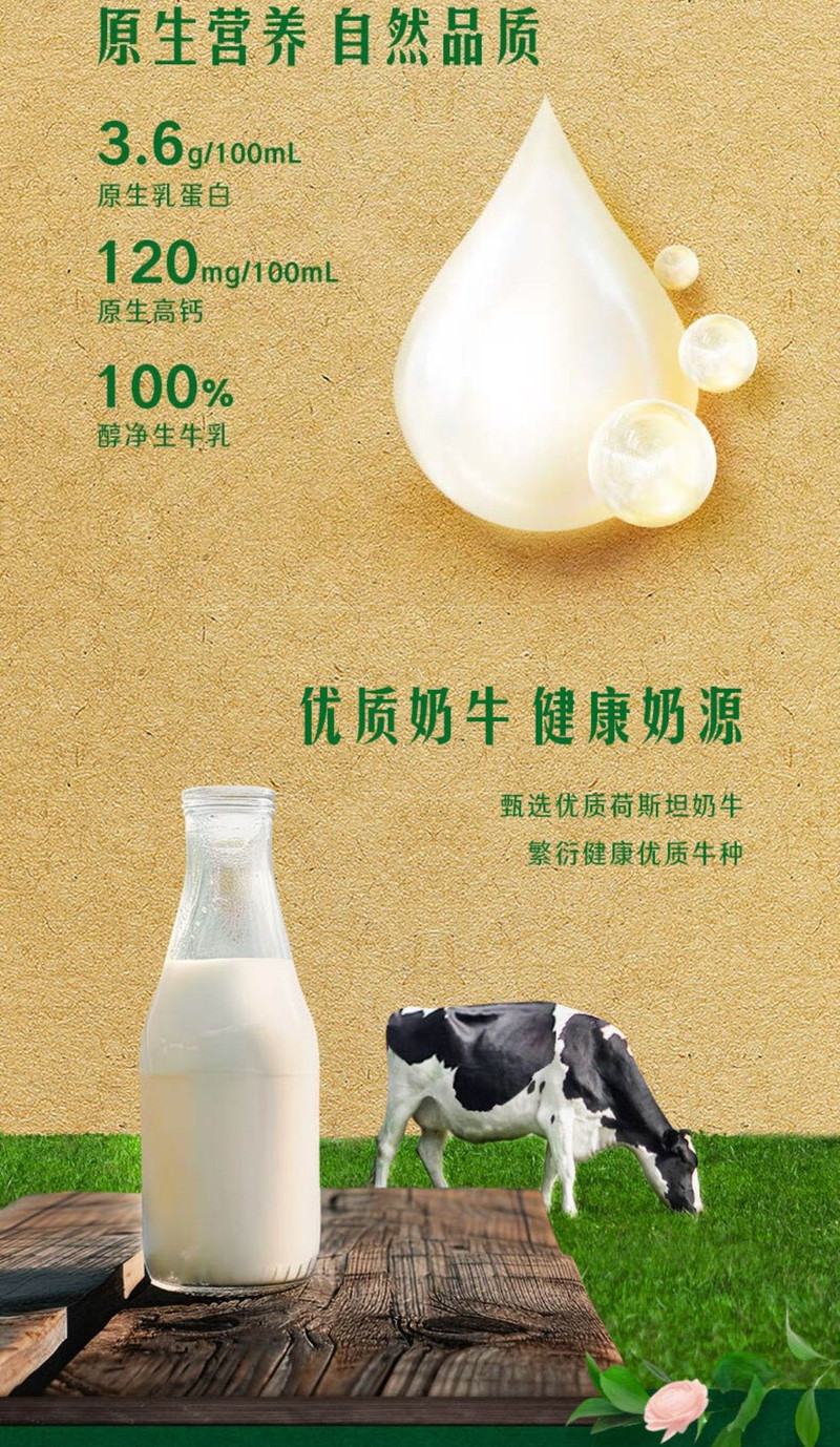 伊利 金典纯牛奶250ml*12盒/箱 低碳环保装 3.6g乳蛋白