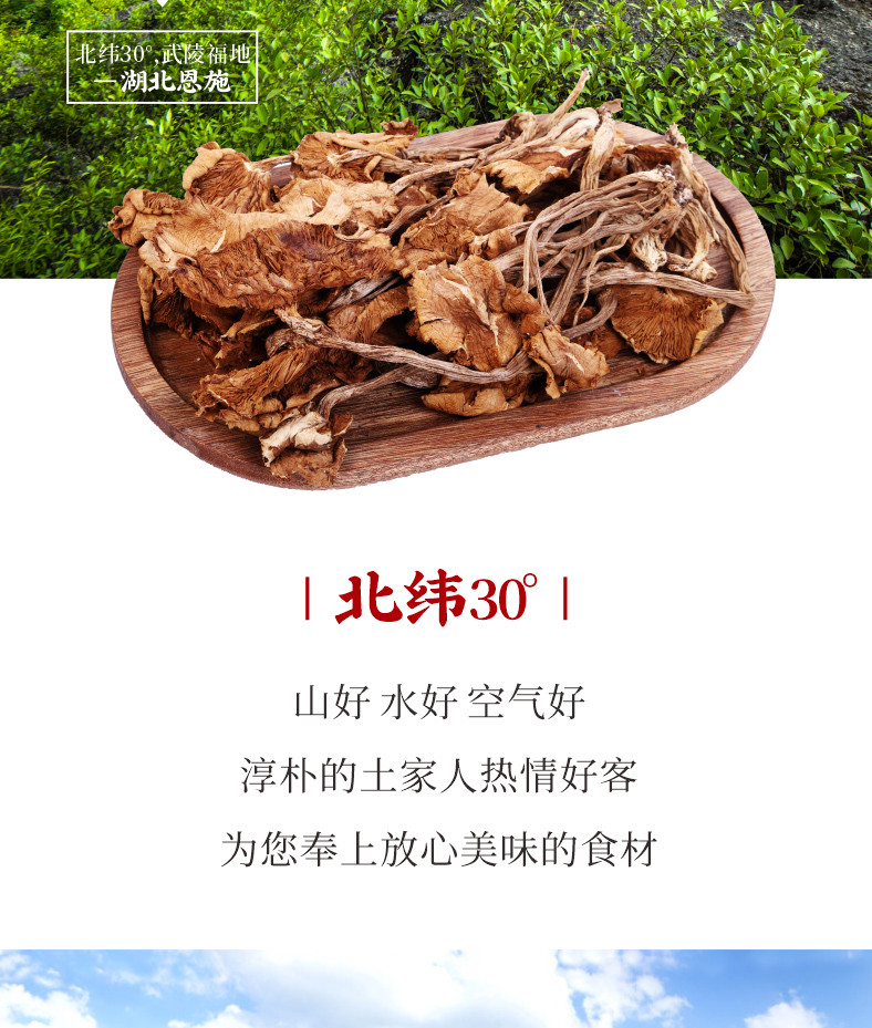 不落一个 湖北恩施特产干货茶树菇100g