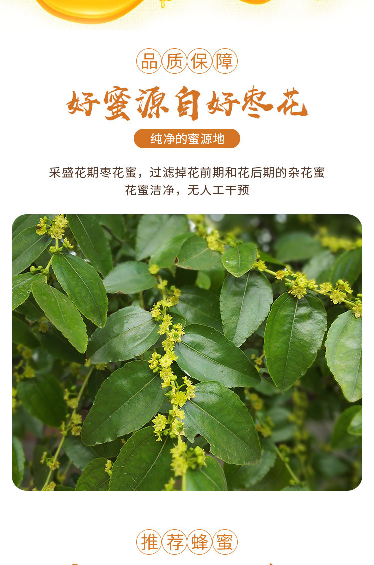 集蜂堂 【邮政助农】湖北随州市 集蜂堂枣花蜂蜜 1000g/瓶 （每瓶重1000g）全国包邮