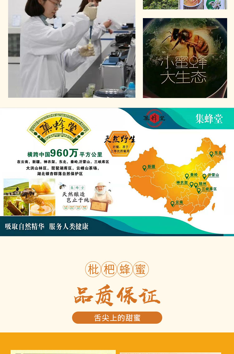 集蜂堂 【邮政助农】湖北随州市 集蜂堂枇杷蜂蜜 1000g/瓶 （每瓶重1000g）全国包邮