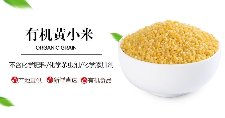 盛耳 有机黄小米400g 小黄米小米粥新米米脂黏糯农家东北杂粮粮食