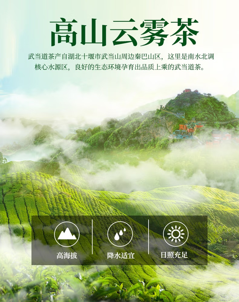 安小康 【邮政助农】武当高山云雾红茶1罐+ 金丝皇菊1罐  茶叶组合【强国活动】