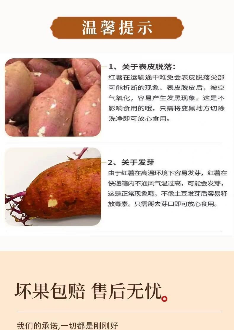 安小康 【邮政助农】湖北武当高山种植 红薯5斤装 软糯香甜
