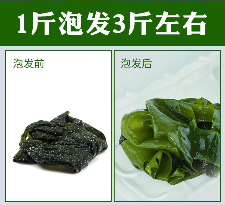 百仙岛 盐渍裙带菜5斤  整箱发货 火锅食材凉拌菜