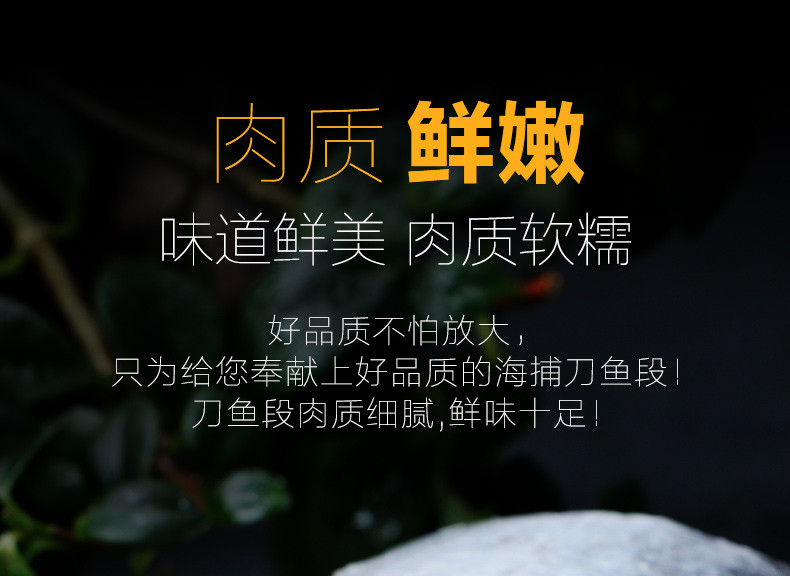  百仙岛 生冻带鱼（中段5）斤 海鱼鲜活冷冻刀鱼段下饭带鱼串钩整箱