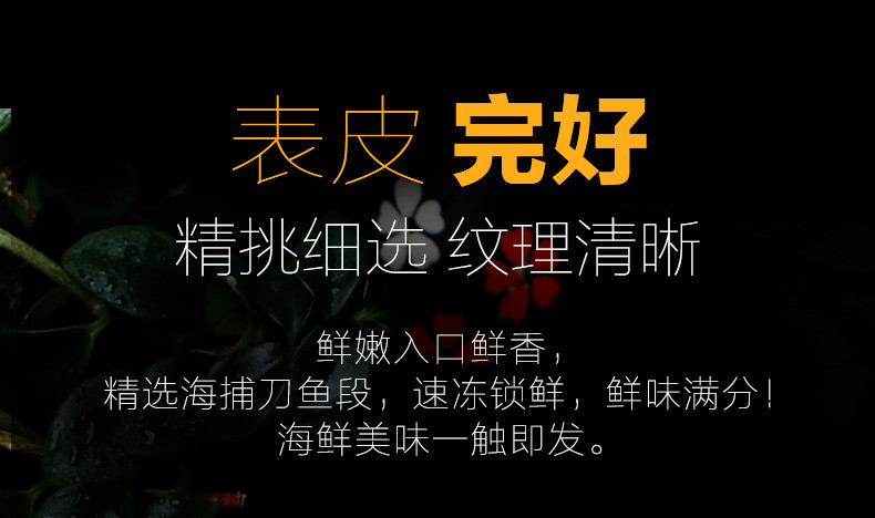  百仙岛 生冻带鱼（中段5）斤 海鱼鲜活冷冻刀鱼段下饭带鱼串钩整箱