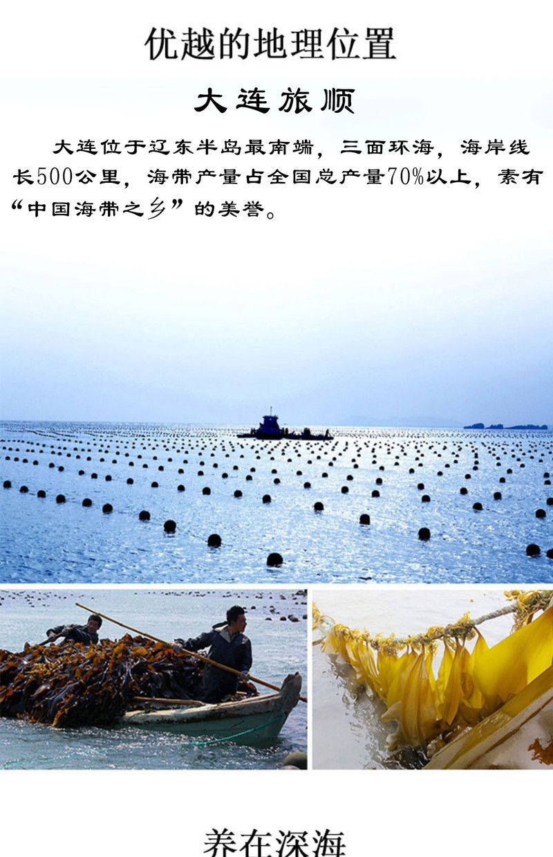 百仙岛 海带整颗5斤海带丝海白菜裙带菜火锅配菜减脂食材海带结海带头下饭菜咸菜凉抖菜