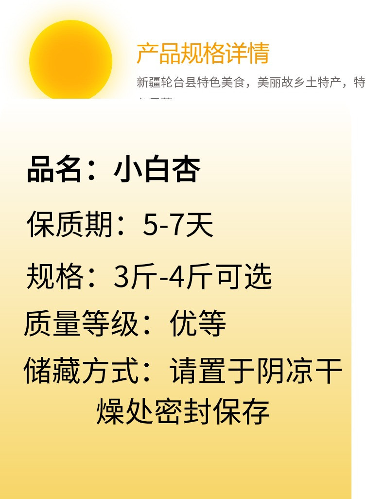 农家自产 正宗新疆轮台小白杏和硕专属软糯香甜产地直发邮政空运包邮