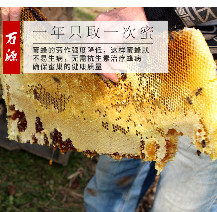 四川达州万源市万物生百花蜂巢蜜 500克/盒 嚼着吃的蜂蜜