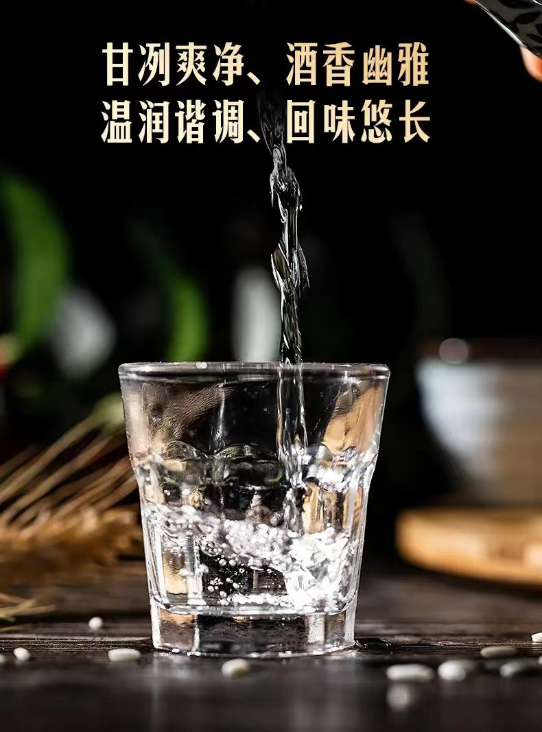 五粮液 五粮人家 52度浓香型白酒纯粮食 股份公司出品  500ml