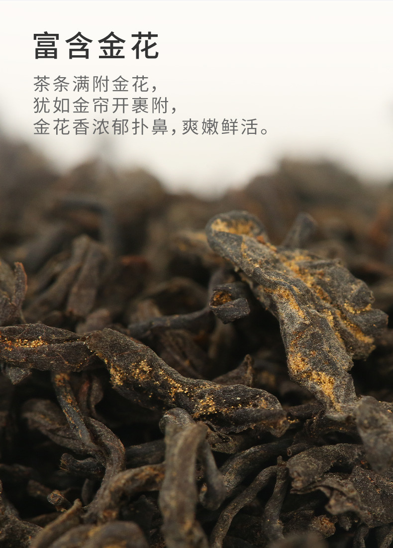 中茶牌 小金花湖南安化黑茶 小金花餐后茶甘爽型茯茶 礼盒装120g