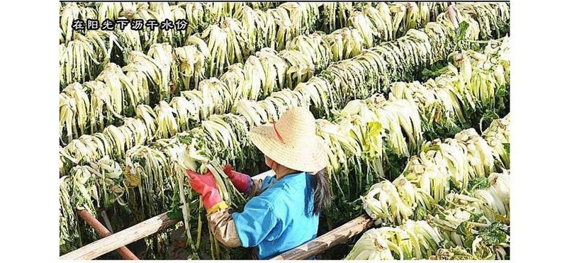  于都炒回锅肉水盐菜农家自制梅干菜干货扣肉梅菜干盐菜菜  300g包装