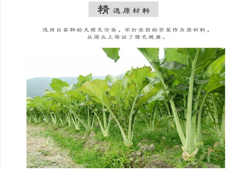  于都炒回锅肉水盐菜农家自制梅干菜干货扣肉梅菜干盐菜菜  300g包装