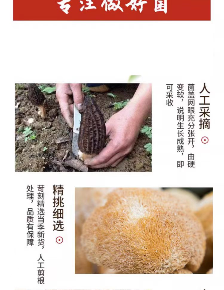 佰珍膳 羊肚菌八珍菌汤包 惠农万单农品