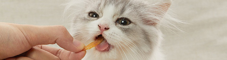 【网易严选】肉香浓郁，鸡肉金针软丝（猫用）猫零食