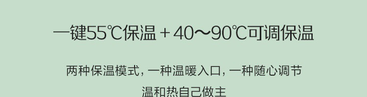 【网易严选】55度一键暖饮，迷你养生壶