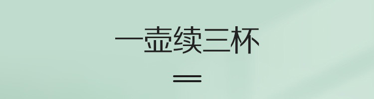 【网易严选】55度一键暖饮，迷你养生壶