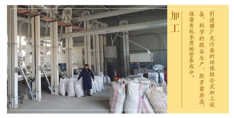 农家自产 茶西河谷  金寨县高山有机大米5kg装环保袋真空包装